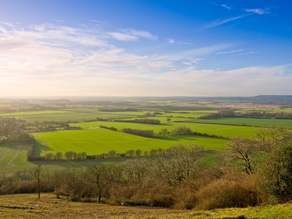 Fields near the Village of Wye, Kent