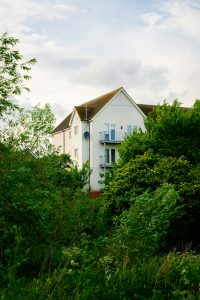 a canterbury house in the distance through the trees